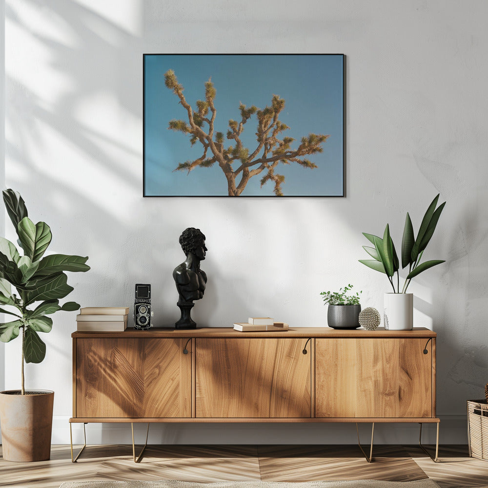 Joshua Tree Moon III | Poster