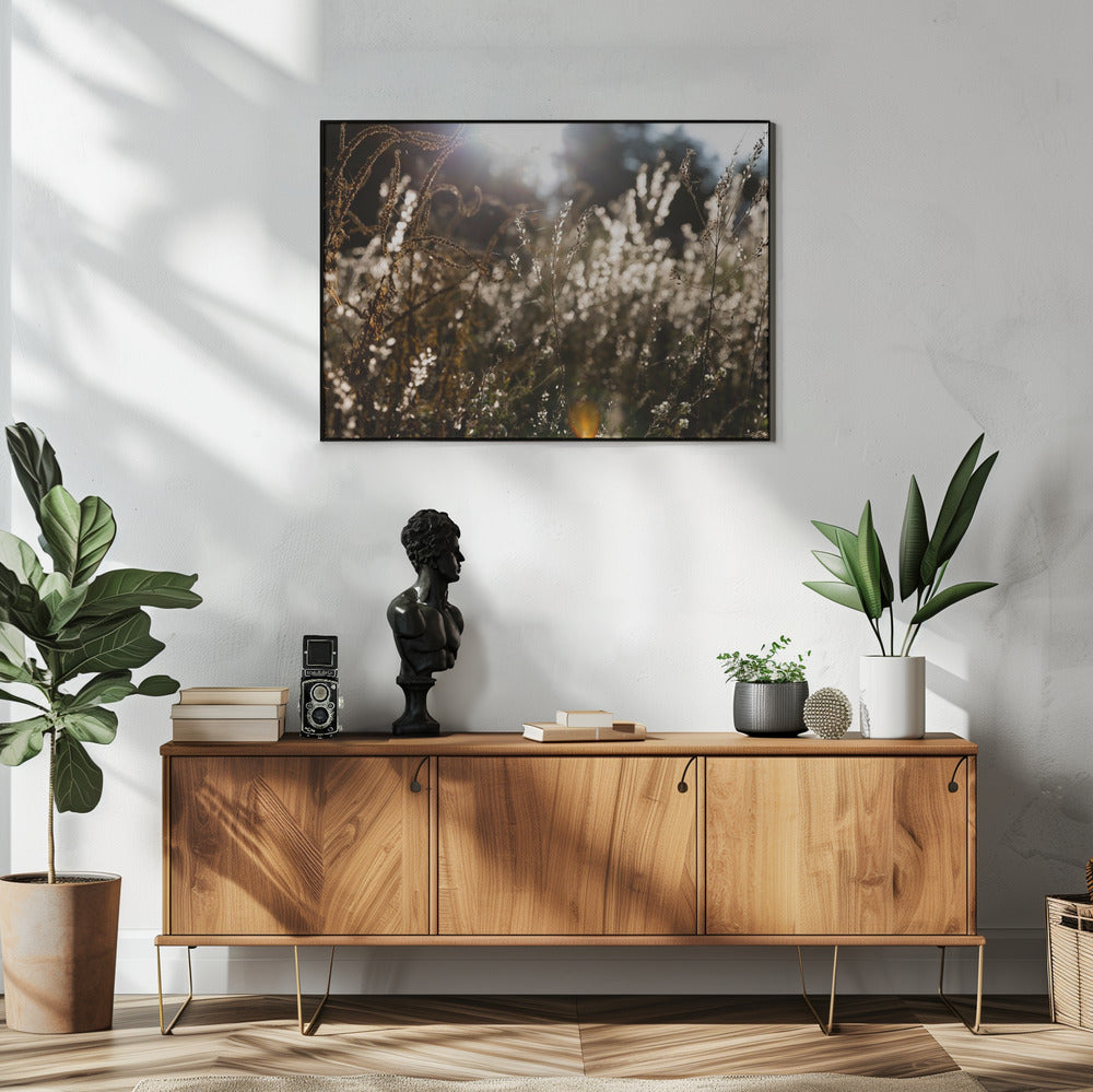 Warm Winter Light 7 | Poster