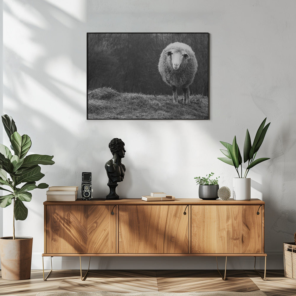 Verdwaalde schapen | Poster