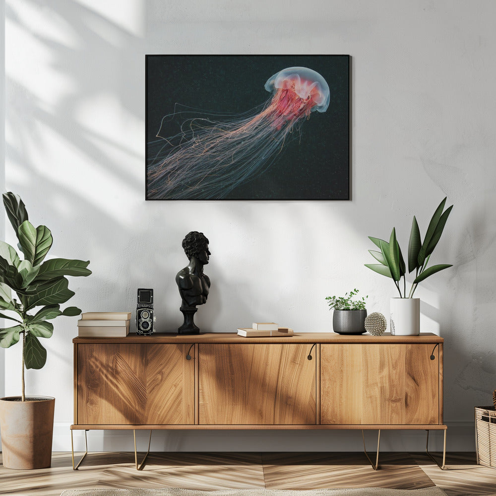 Langstaart | Poster