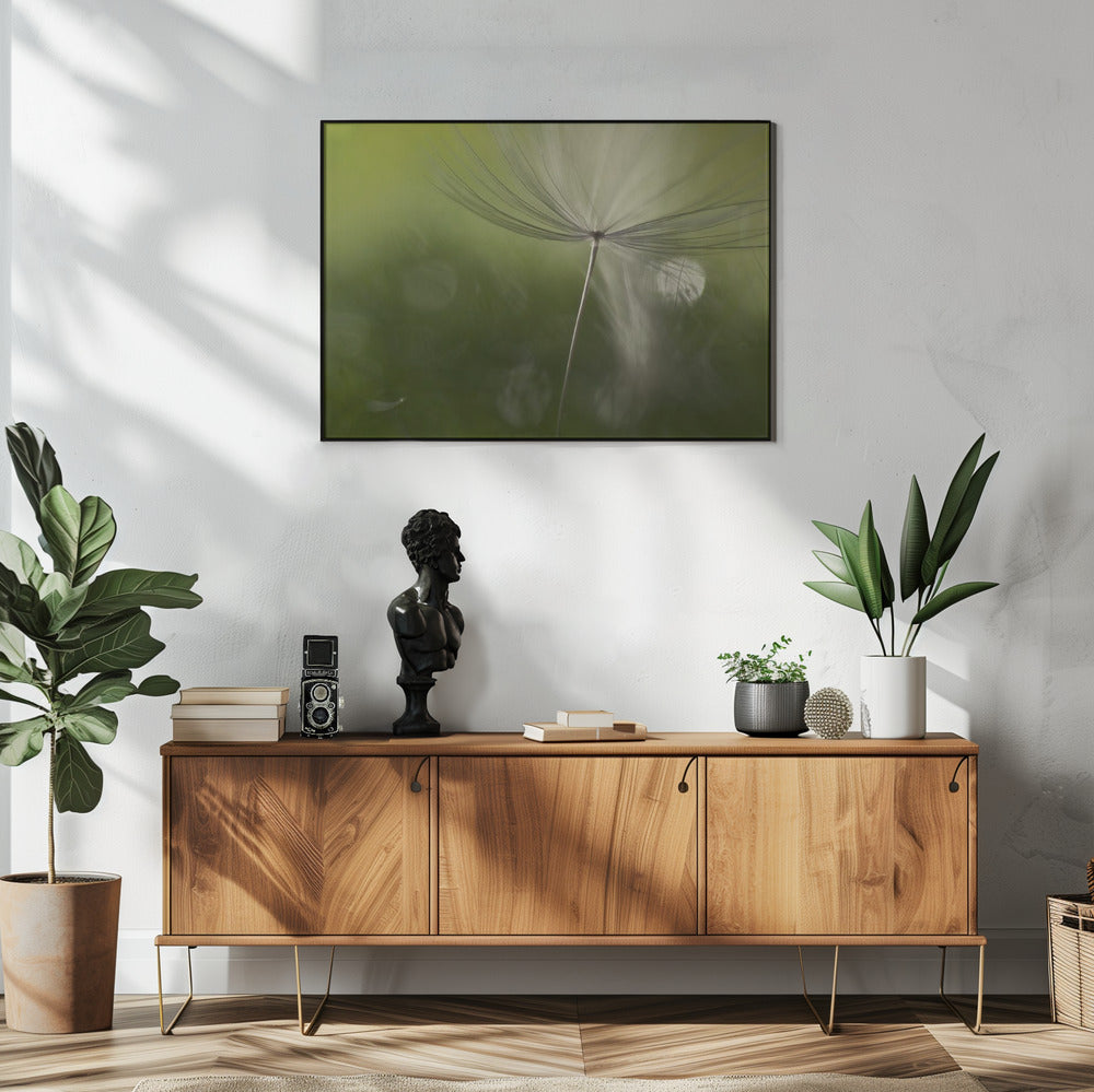 Shadows in the green | Poster