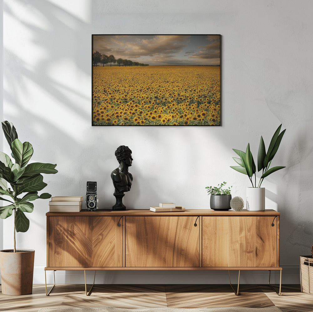Zonnebloemen | Poster