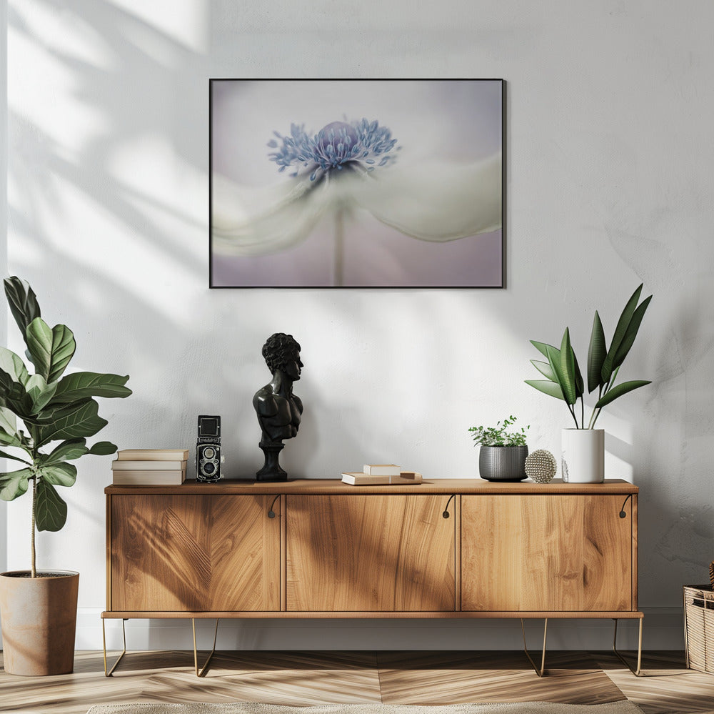 anemoon | Poster