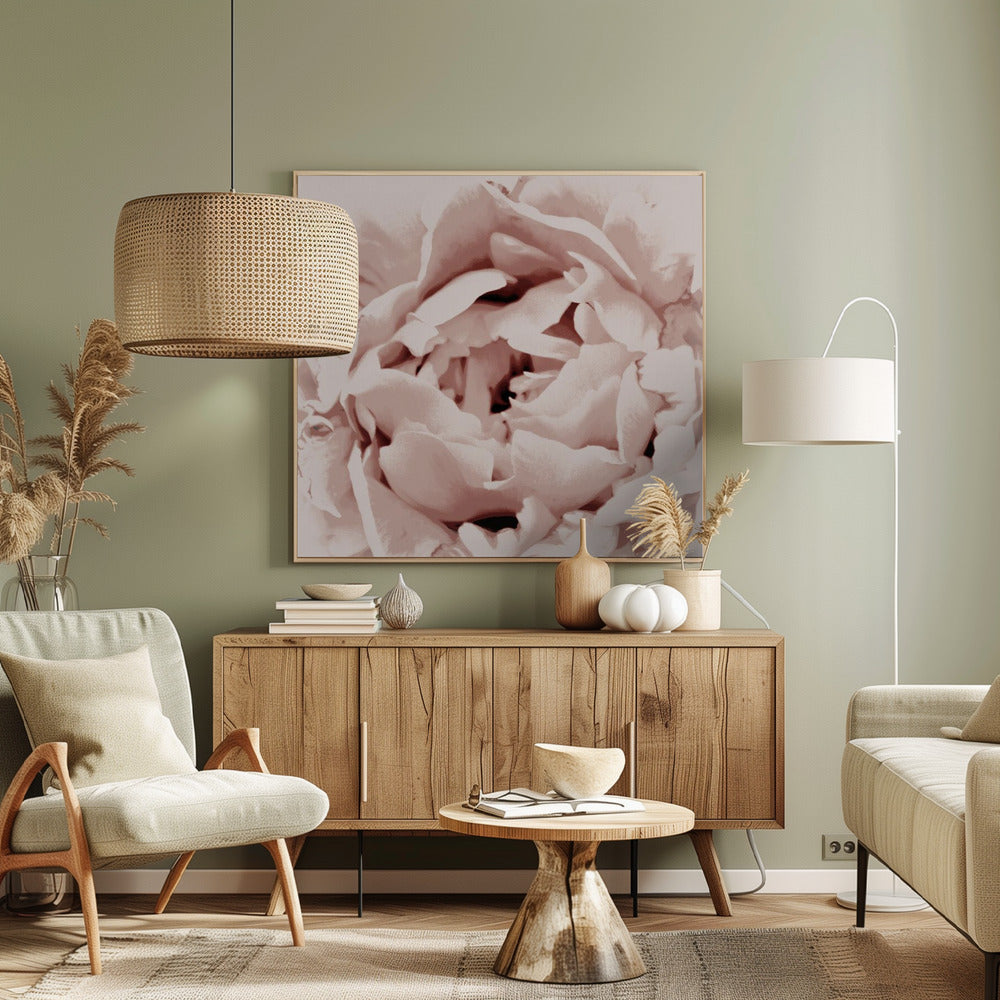 Delicate pioenroos | Canvas