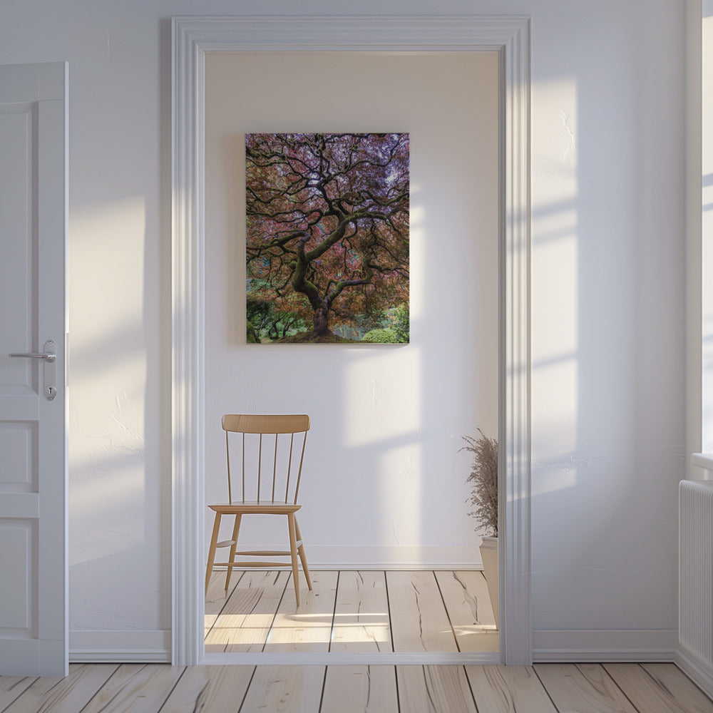 Japanse esdoorn | Canvas