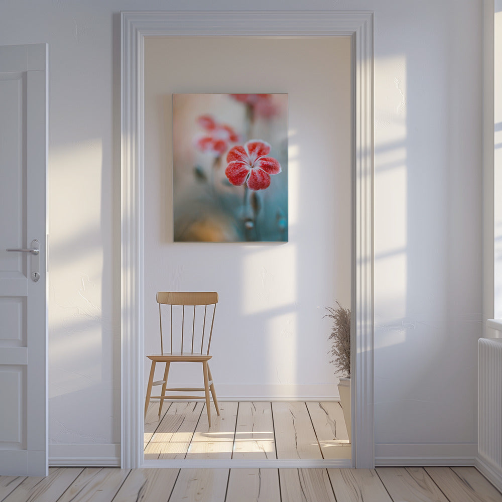 Anjer | Canvas