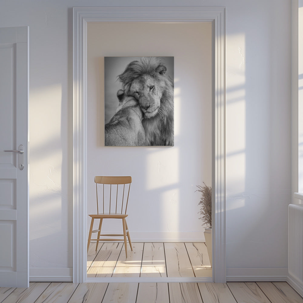 Afrikaanse liefde! | Canvas