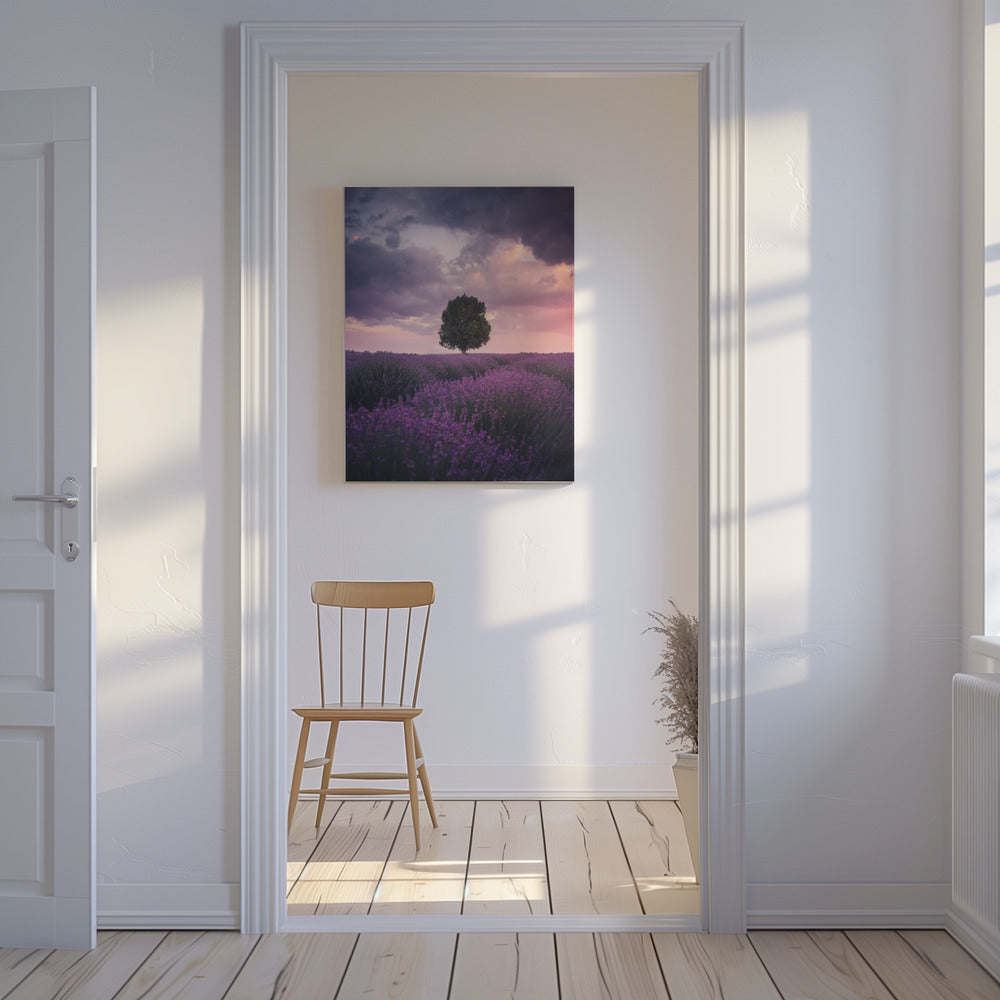 Lavendelvelden, Isparta | Canvas