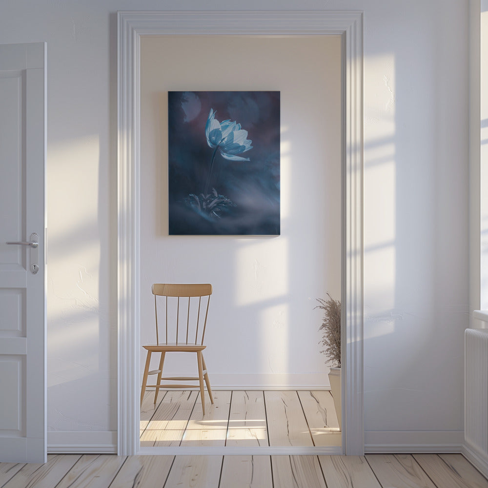 Droom verder | Canvas