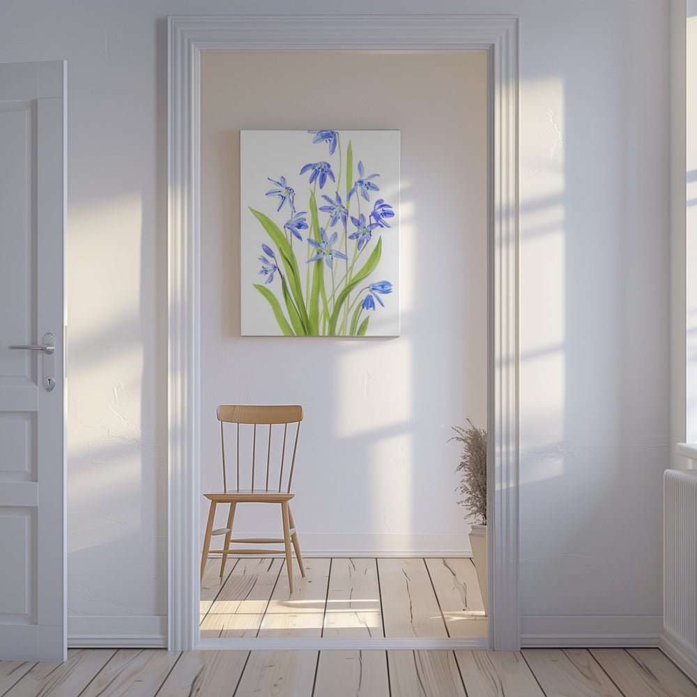 Scilla | Canvas