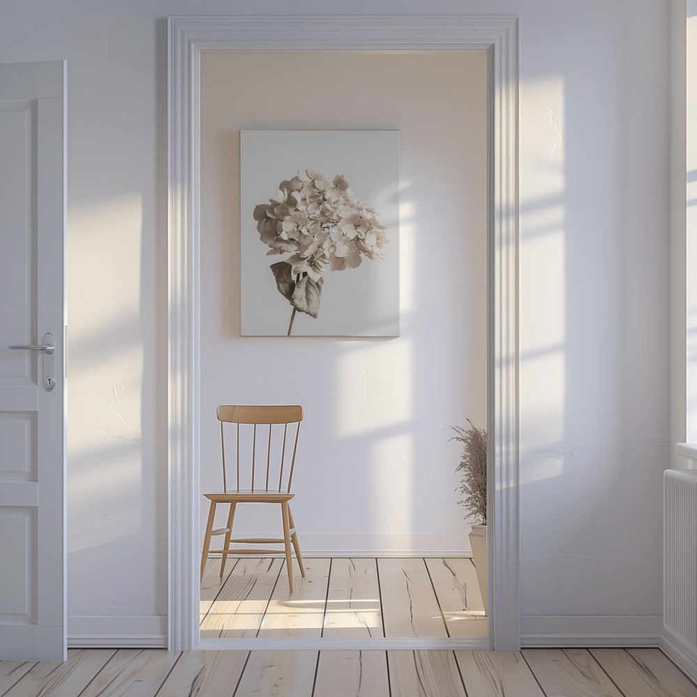 Beige gedroogde bloem | Canvas