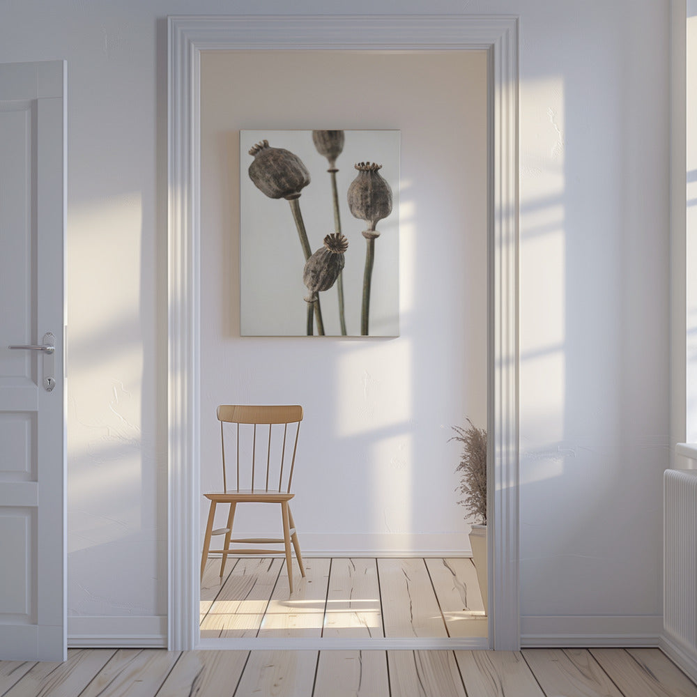 Dried_006 | Canvas