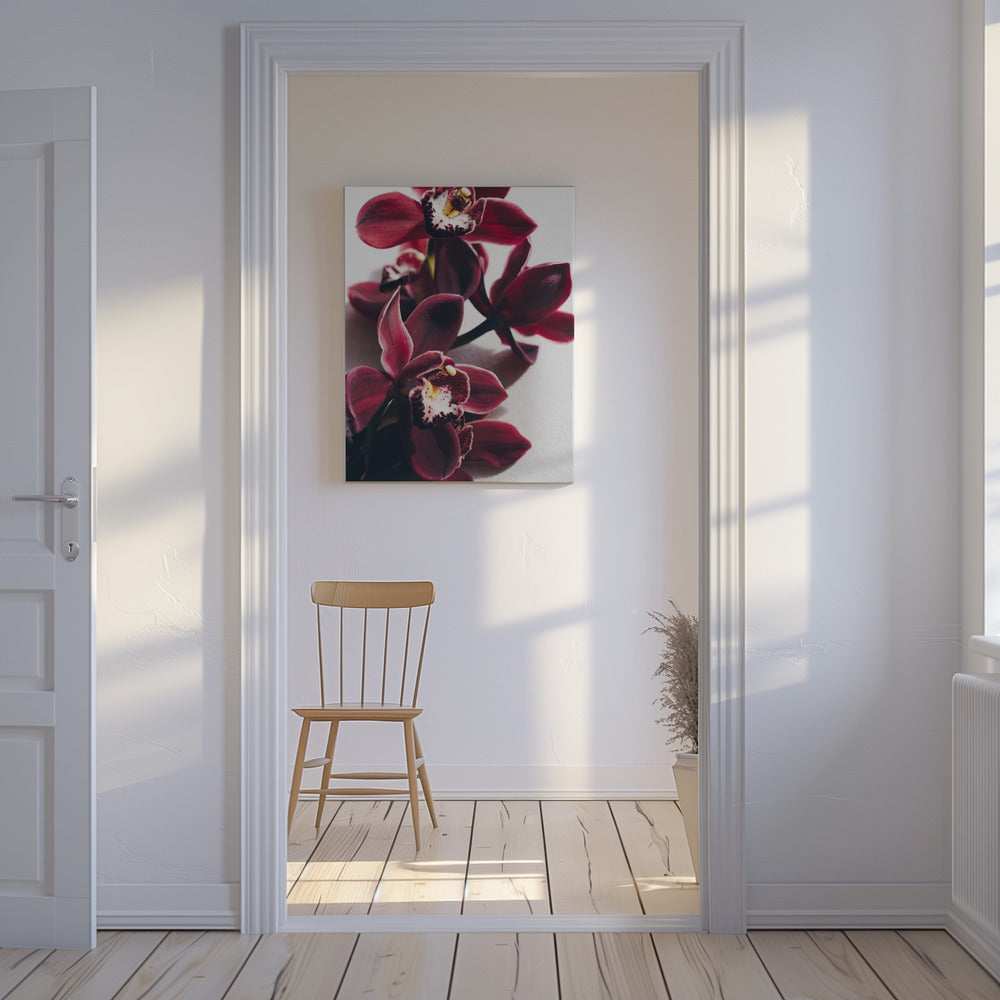 Rode orchideeën met delicate bloemblaadjes | Canvas