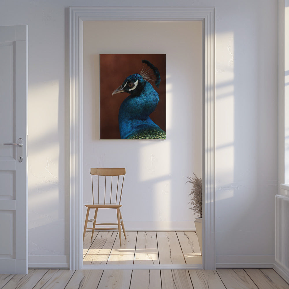 Verleidingsmodus | Canvas