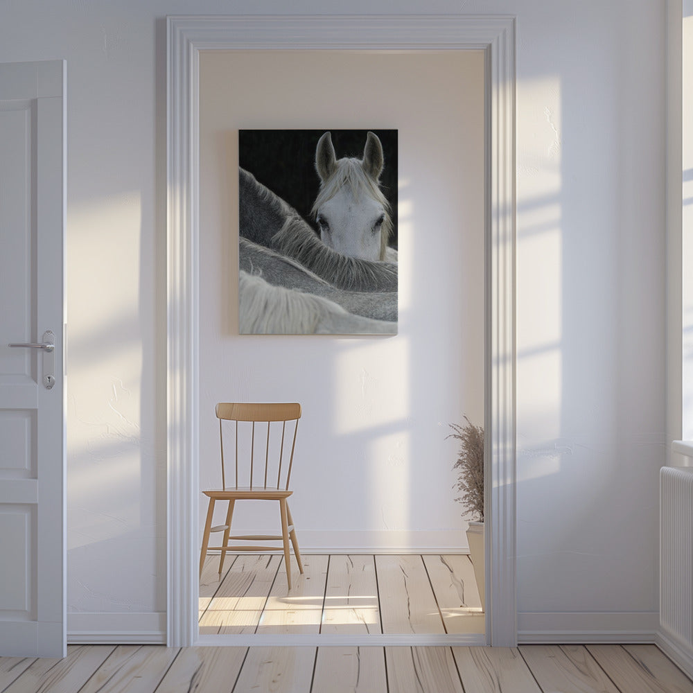 Kijk | Canvas
