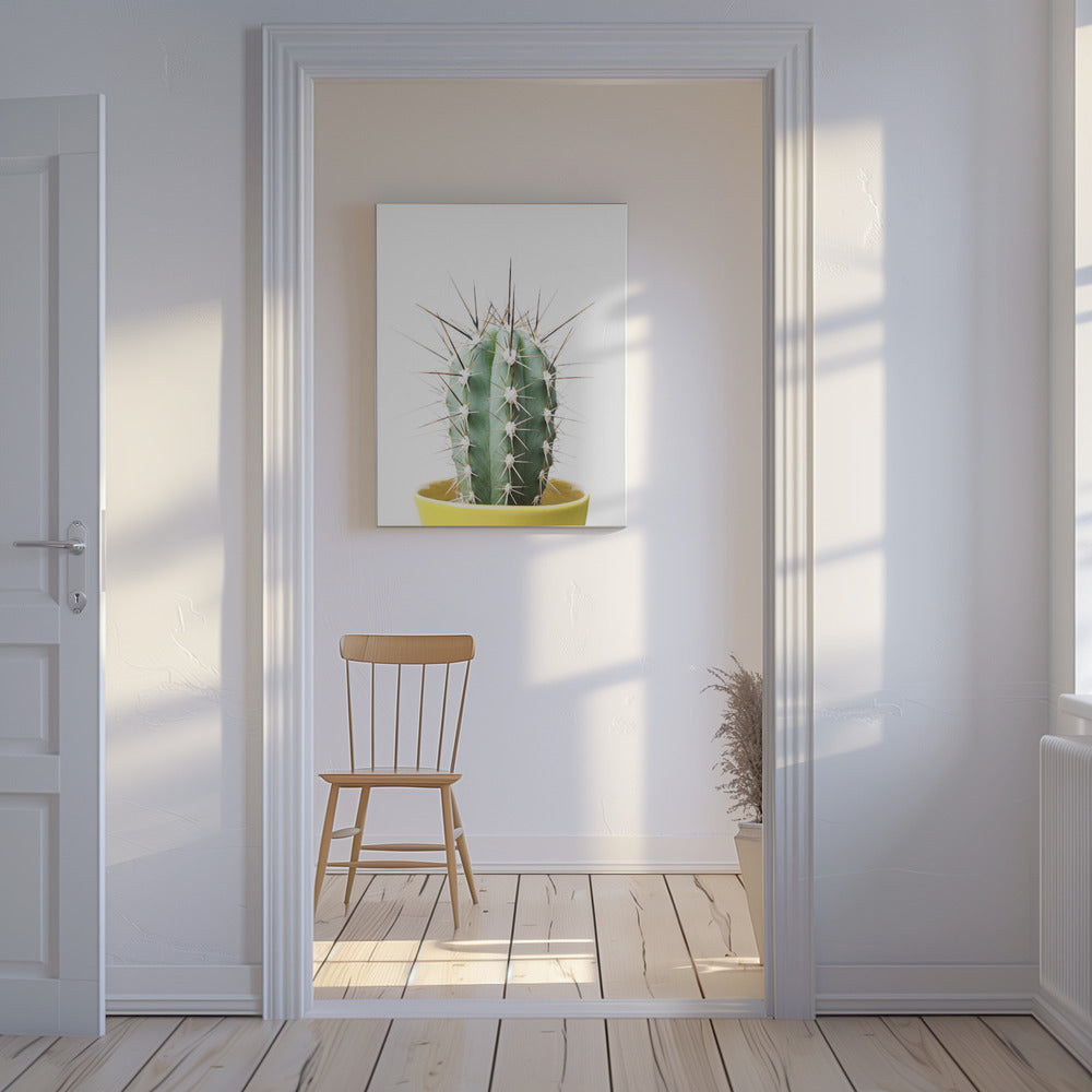 Stekelige Cactus | Canvas