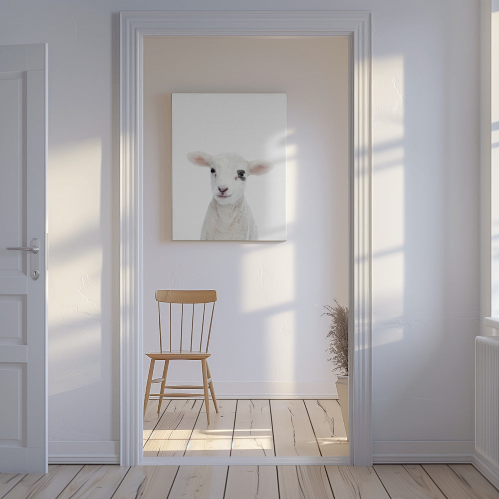 Babylammetje | Canvas
