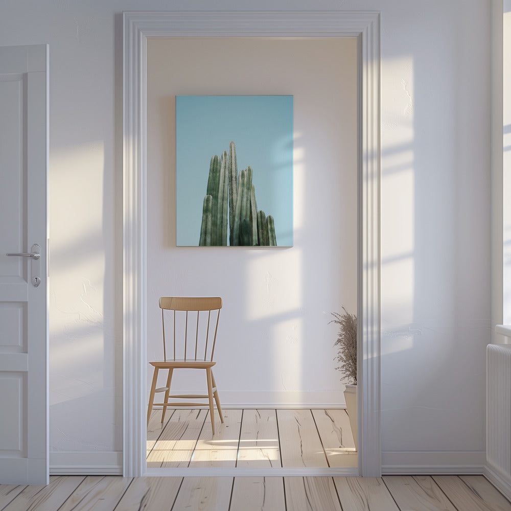 Cacti | Canvas