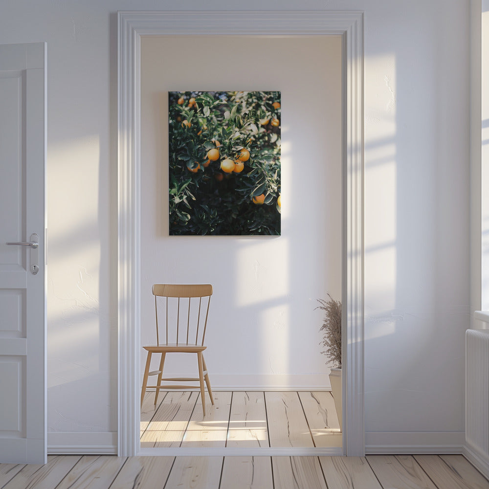 Marrakesh Oranges | Canvas