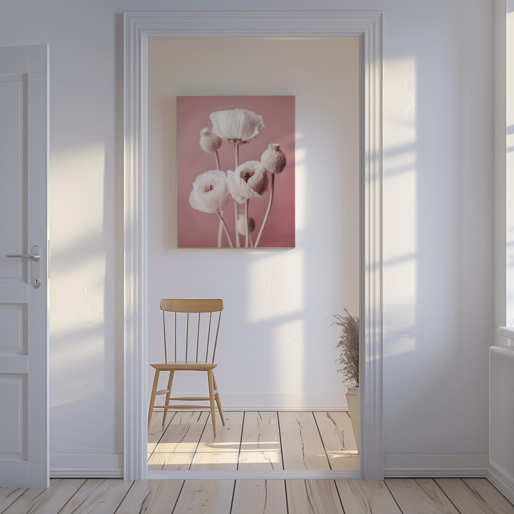 Zacht bloeiende klaprozen | Canvas