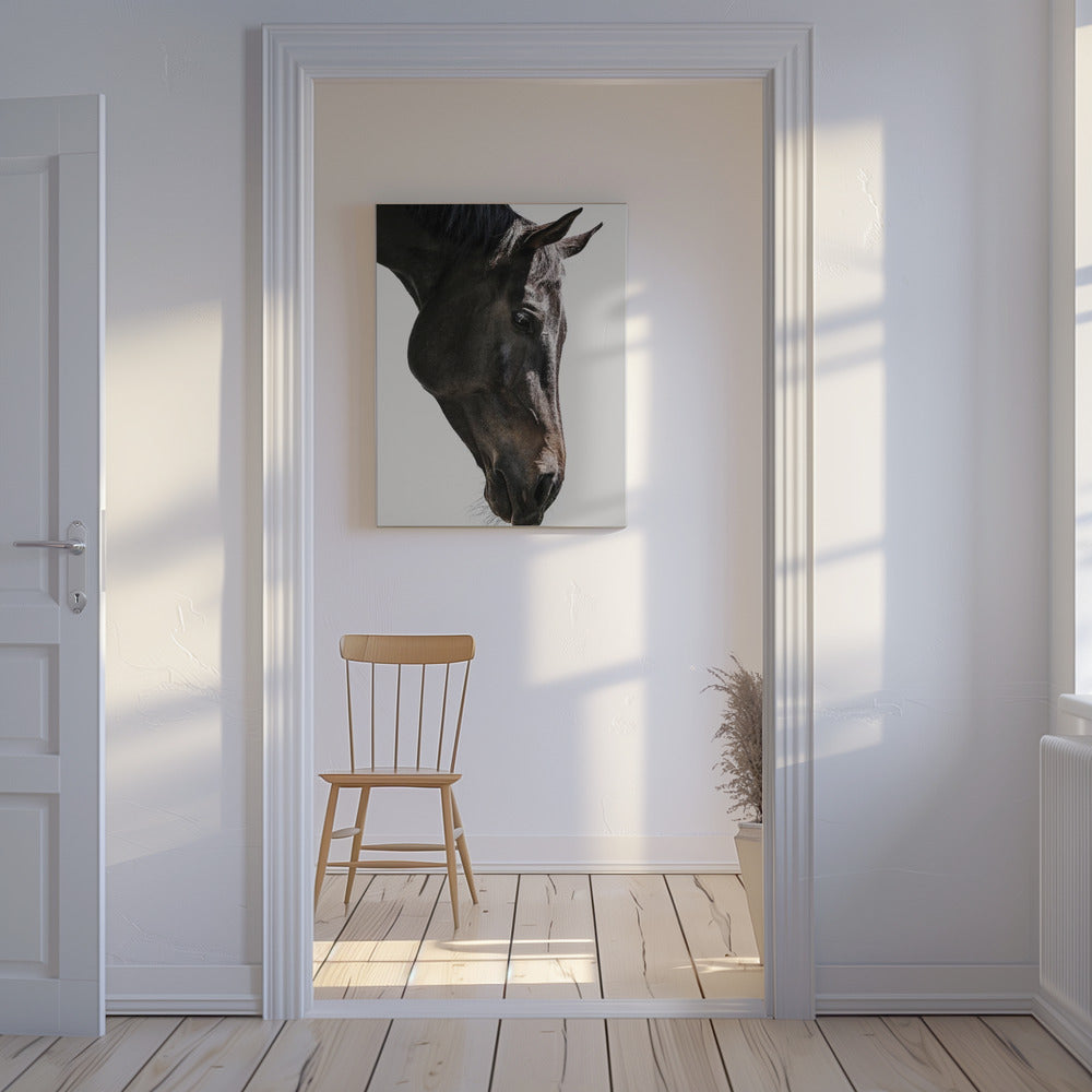 Gentle Equine Gaze | Canvas
