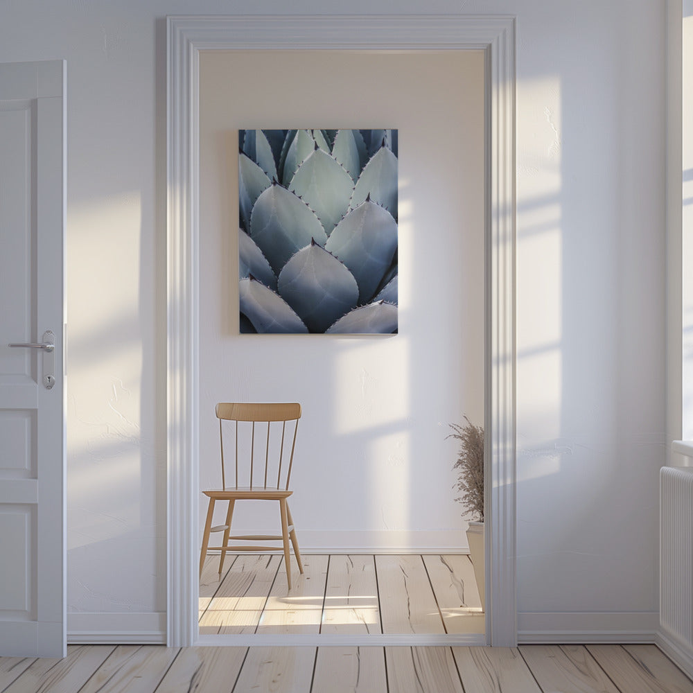 Agave Geometrie | Canvas
