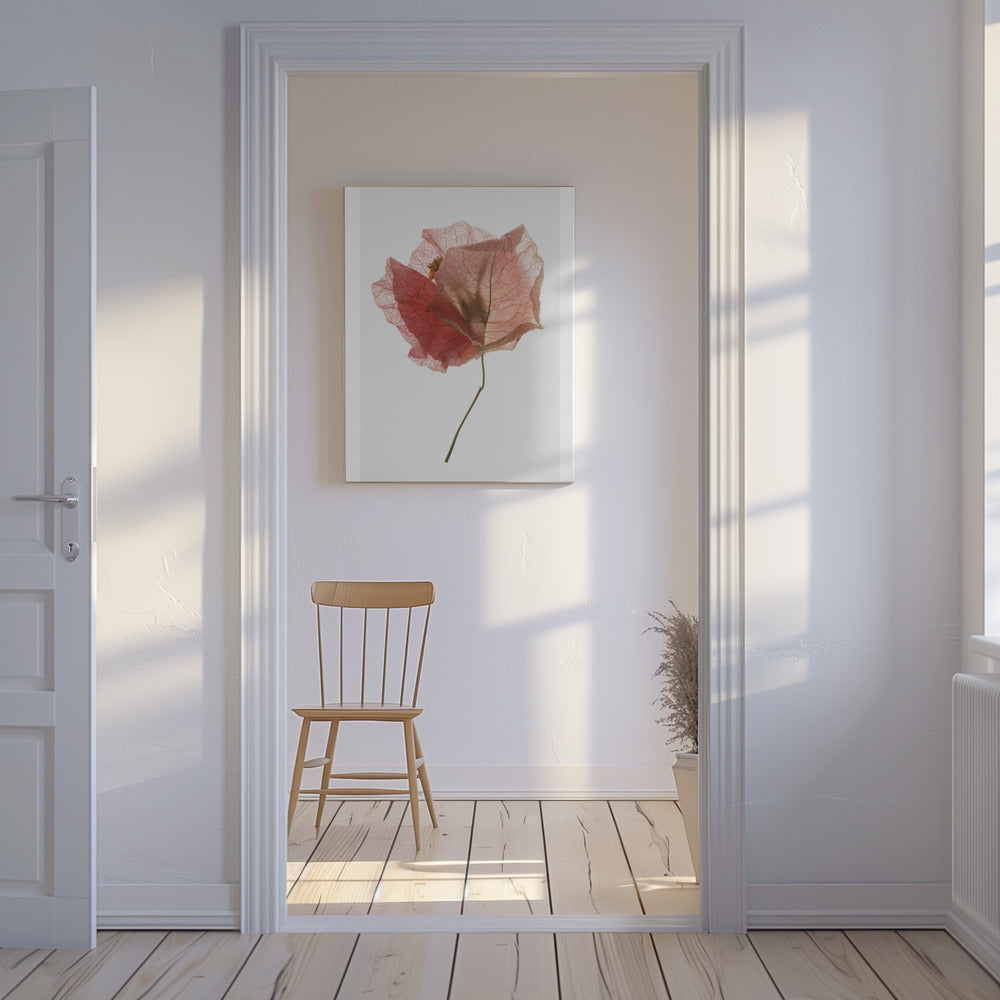 Bloemblaadjesfluistering | Canvas