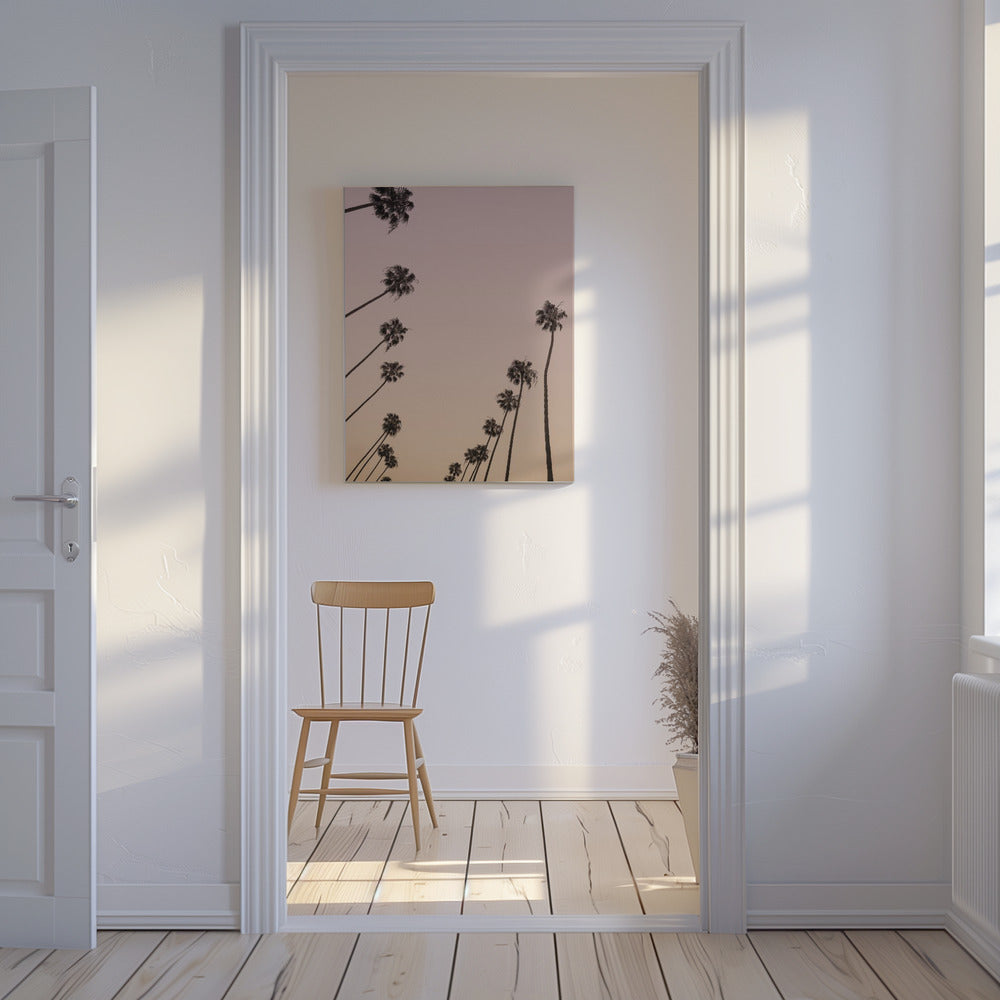Schemeringpalmen | Canvas