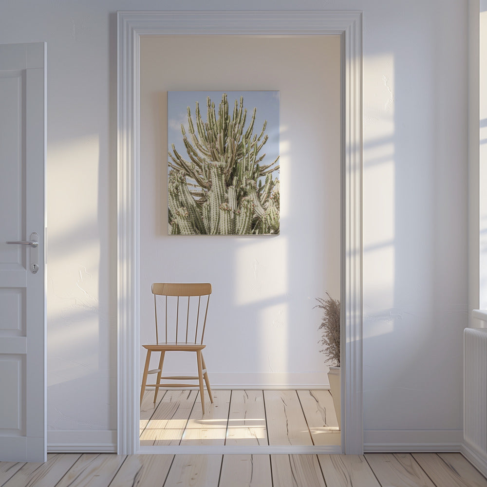 Cactussymfonie | Canvas
