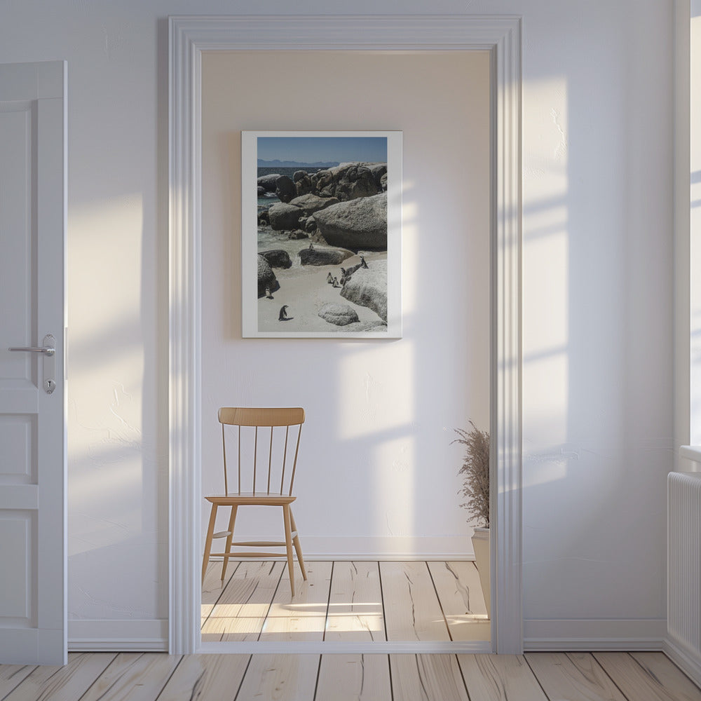 Kustwandeling van pinguïns | Canvas