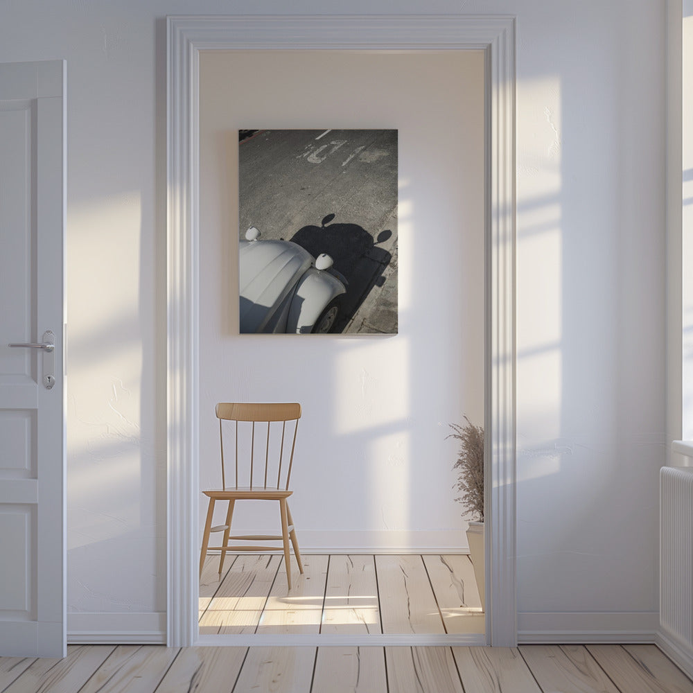 Klassieke Curve Schaduwen | Canvas