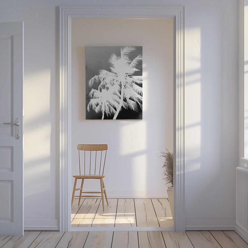 Inverted Palms | Canvas