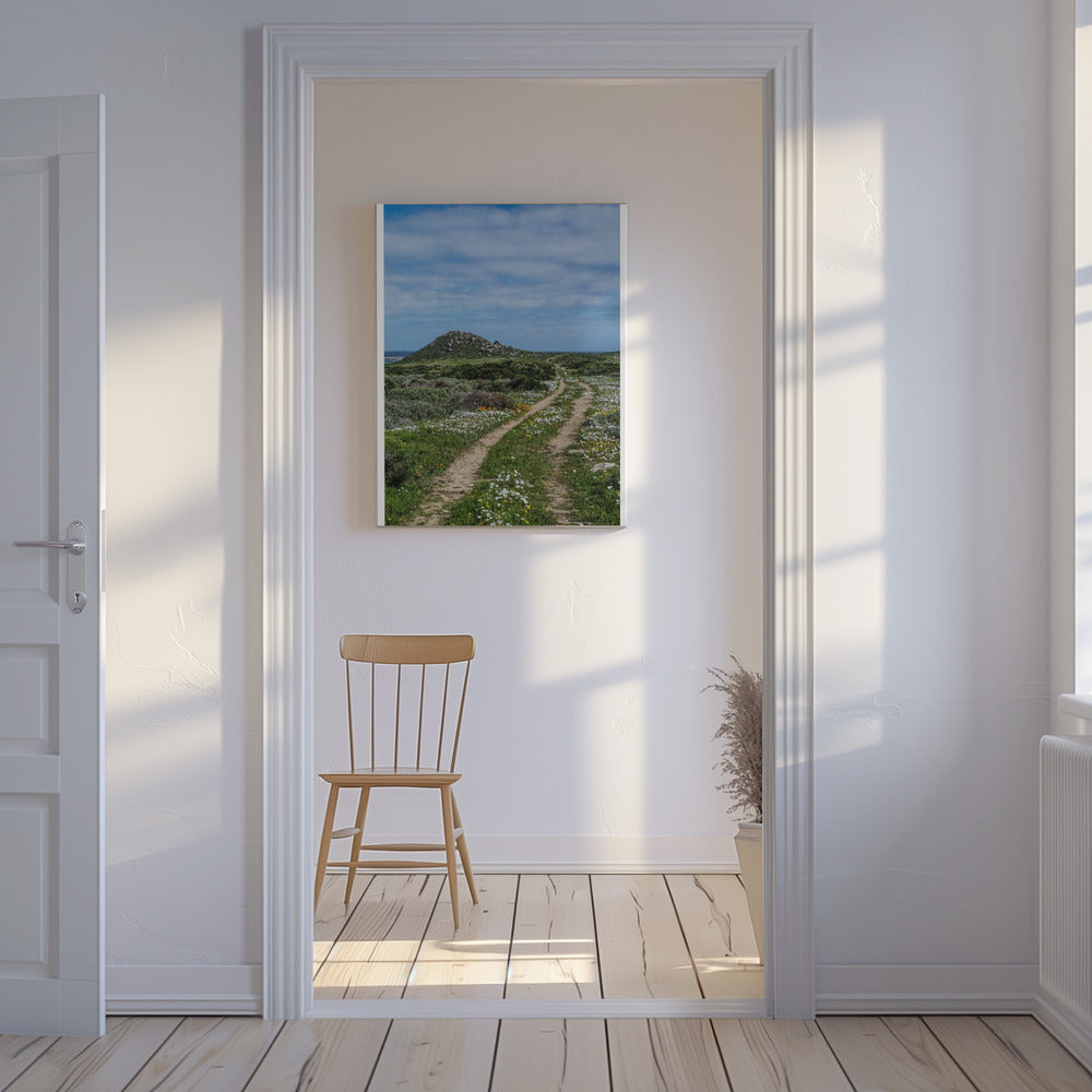 Pad naar sereniteit | Canvas