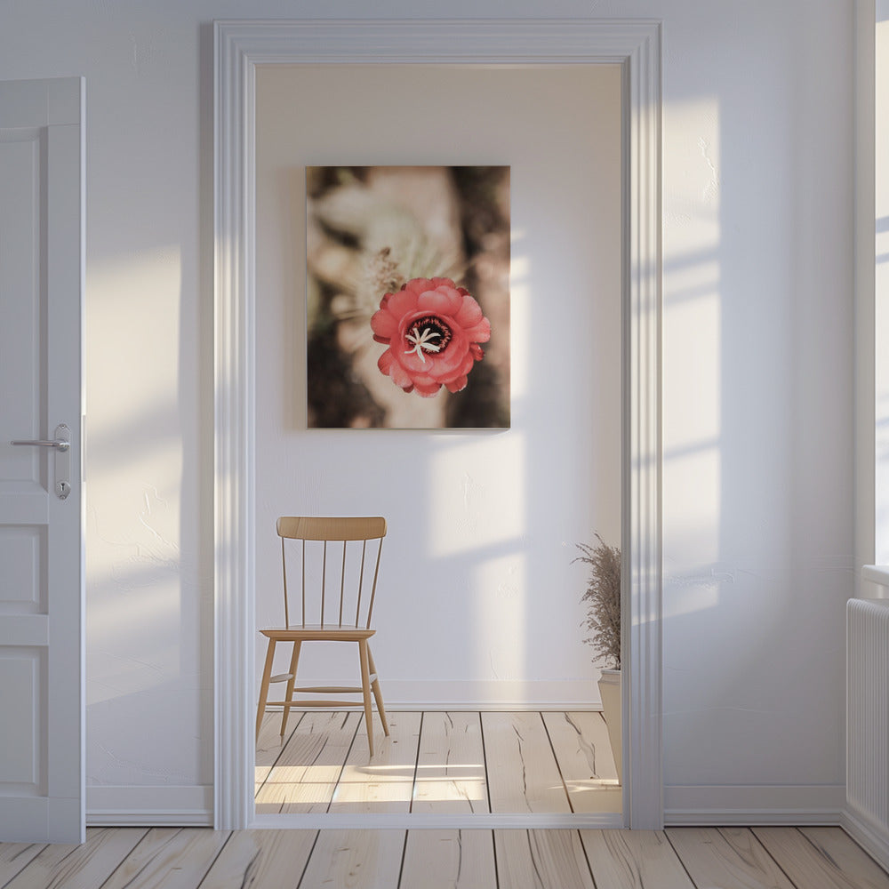 Woestijnbloei Dans | Canvas