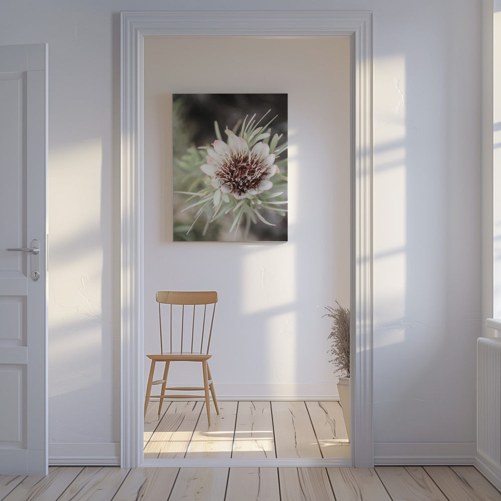 Woestijnbloei Halo | Canvas