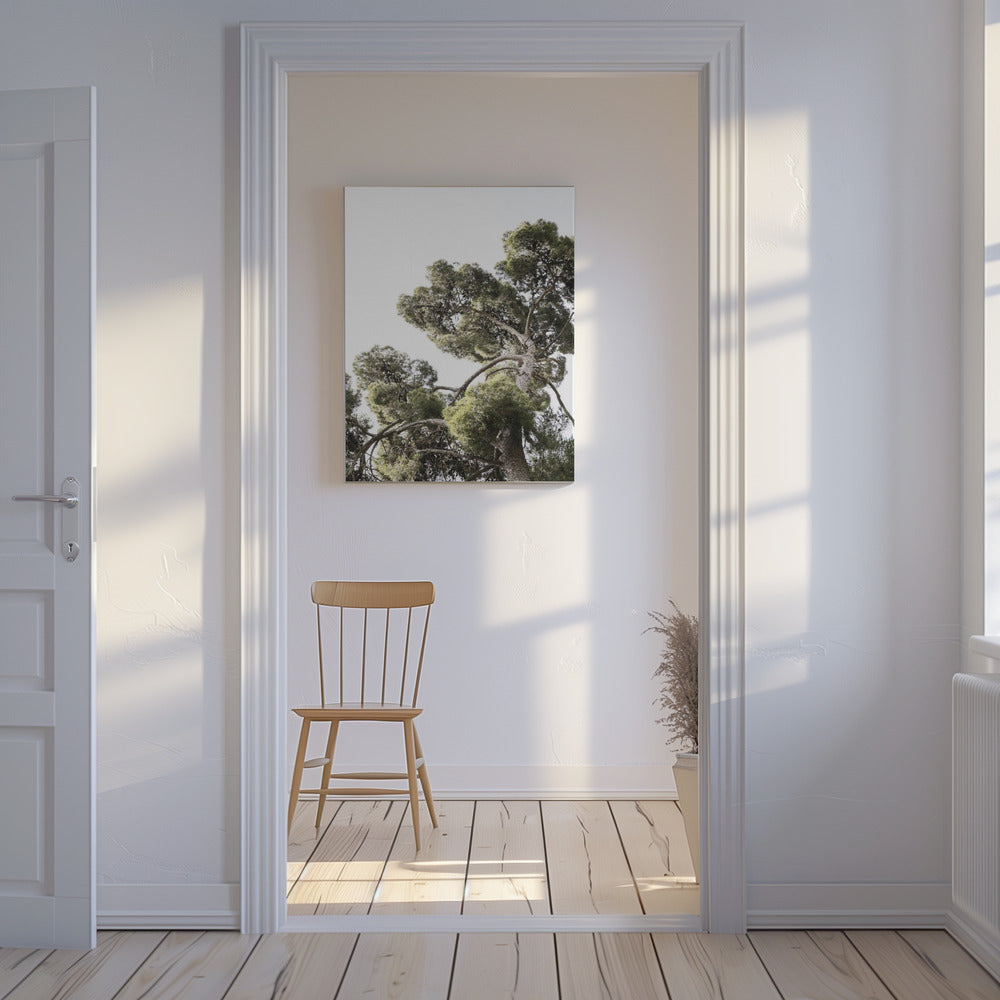 Torenhoge dennen | Canvas
