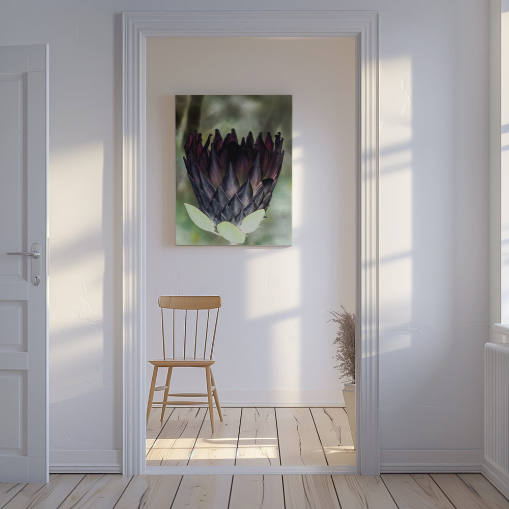 Schaduwrijke Bloesem | Canvas