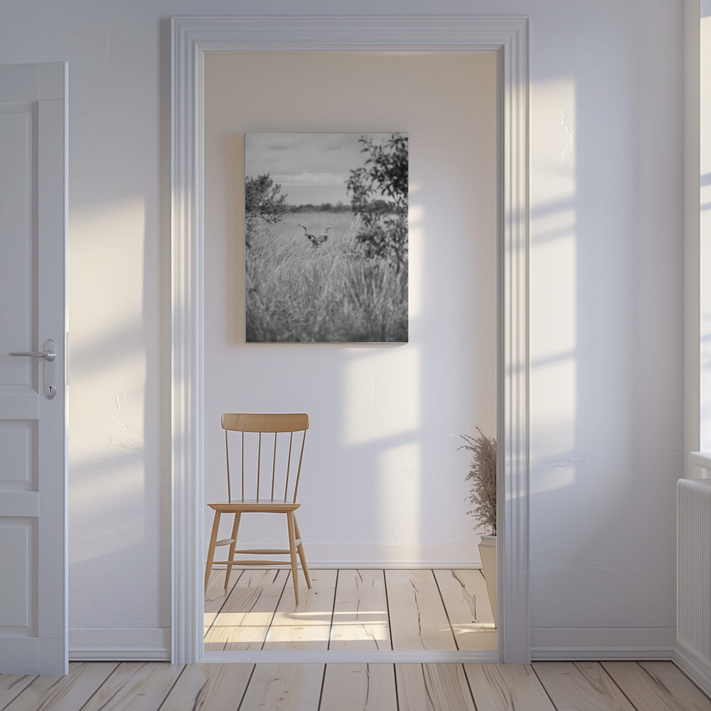 Verborgen in het gras | Canvas
