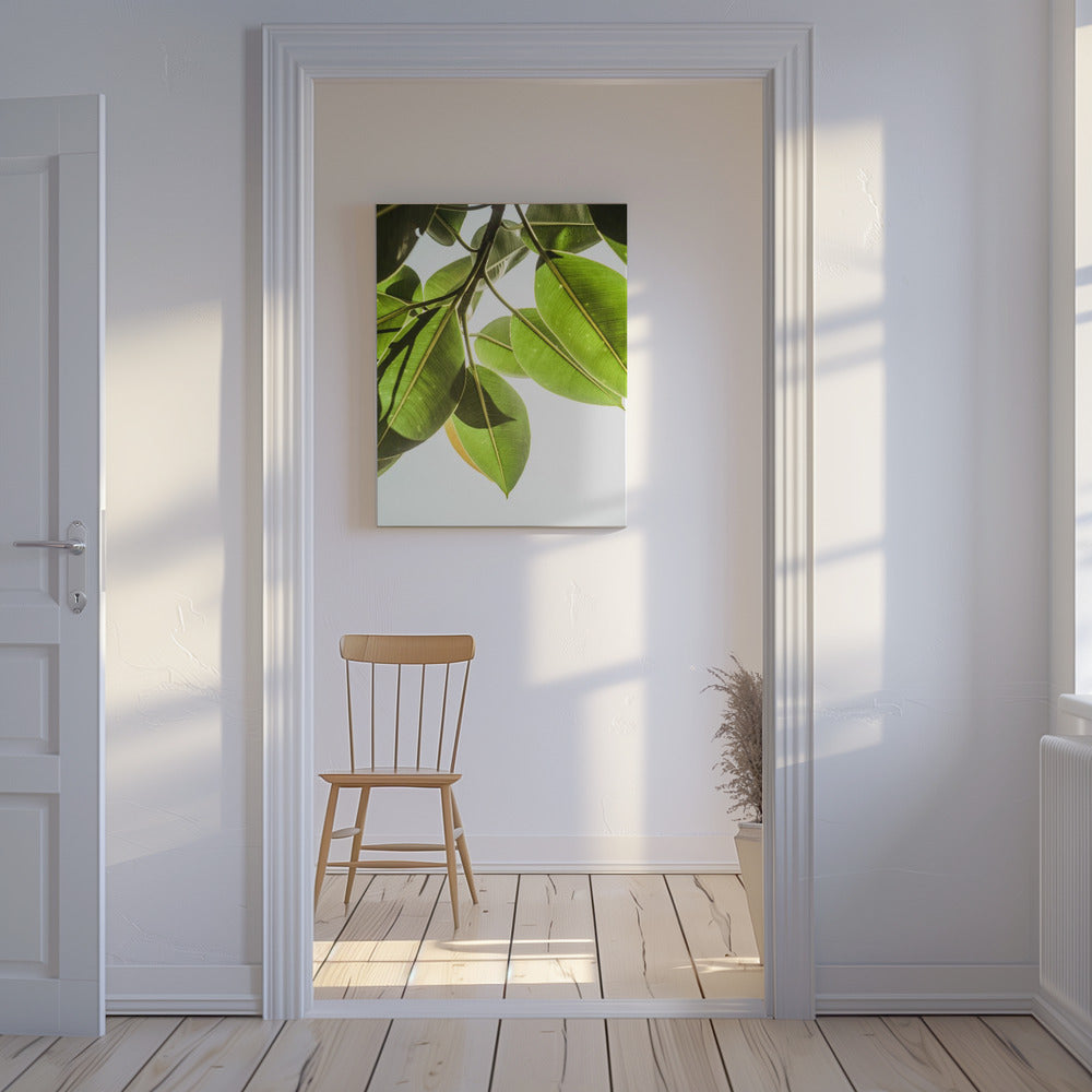 Zonovergoten bladeren | Canvas
