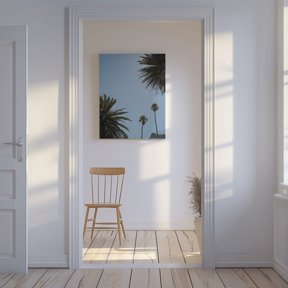 Zonnig Palm Heights | Canvas
