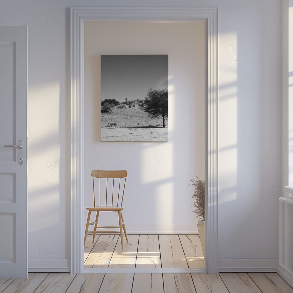 De eenzaamheid van de cheeta | Canvas