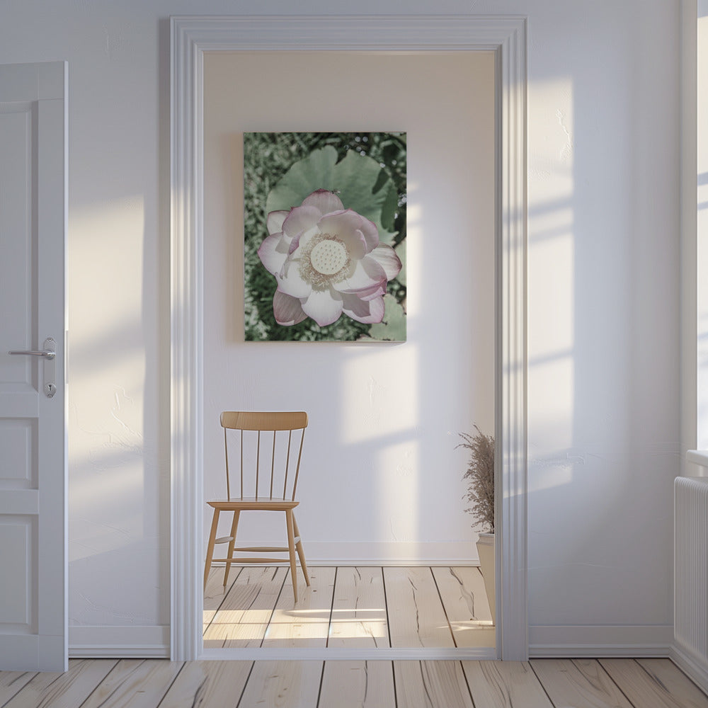 Lotus Sereniteit | Canvas