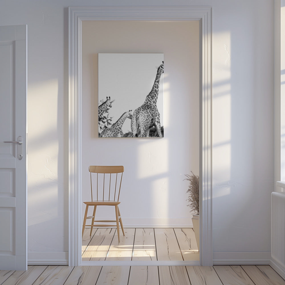 Wandeling met giraffenfamilie | Canvas