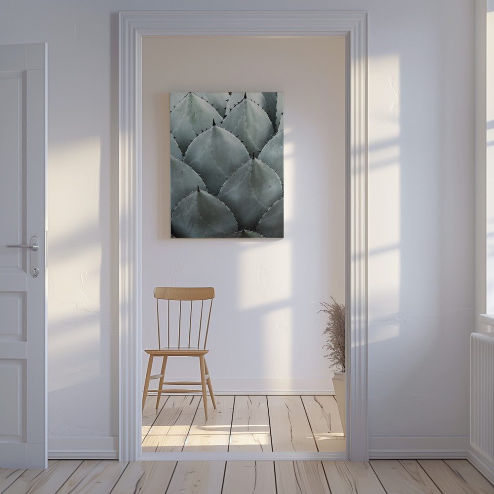 Agave Symmetrie | Canvas