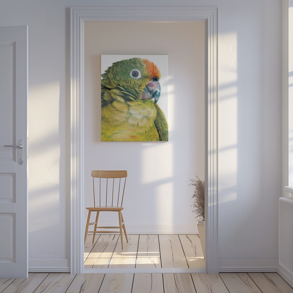 Levendige papegaaienblik | Canvas