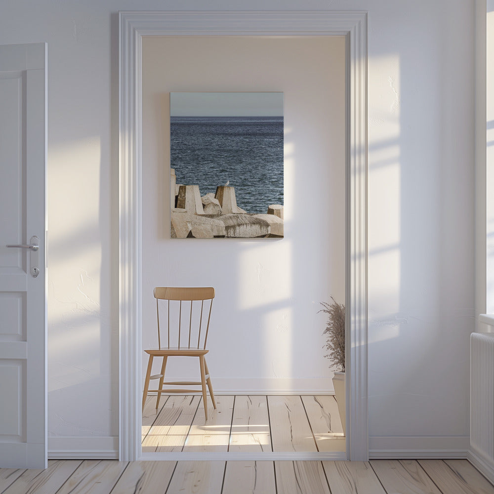 Meeuw aan zee | Canvas