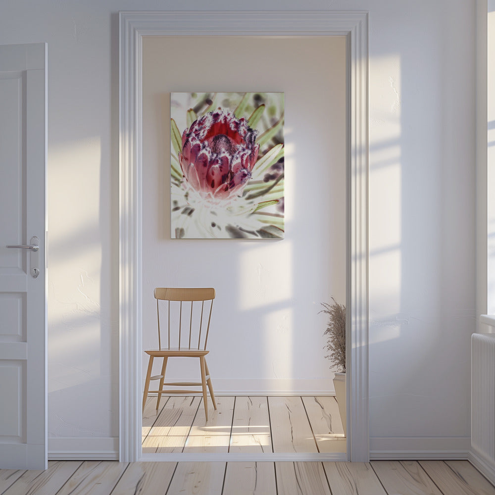 Bloeiende Protea Bloem | Canvas