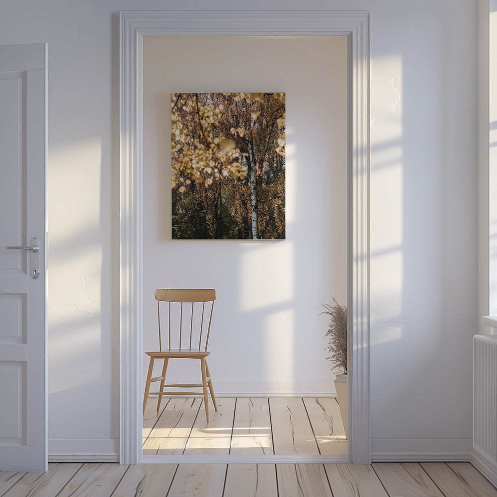 Autumn Birch Tree | Canvas
