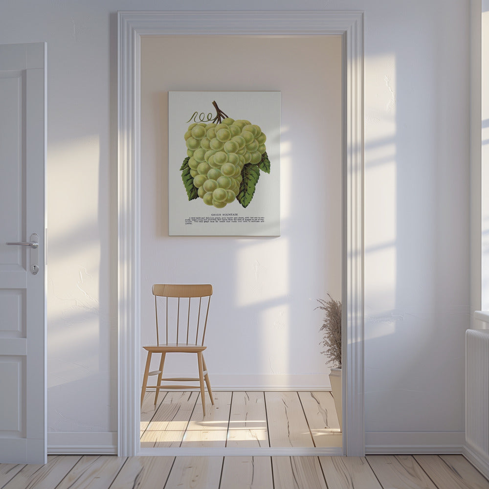 Groene bergdruiflithografie | Canvas