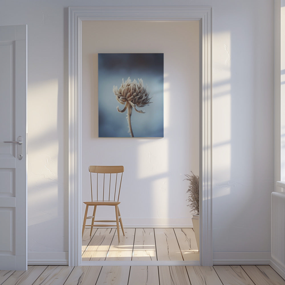 Bevroren bloesem | Canvas
